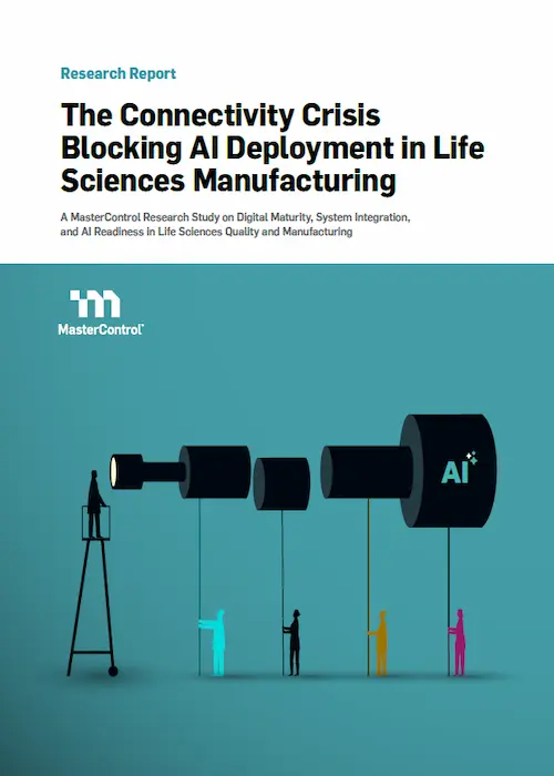 About our research document