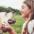 2019-bl-thumb-nutraceutical-trends-pet-supplements