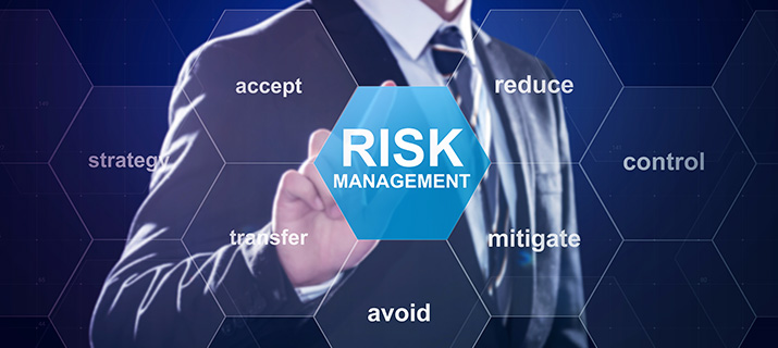 What good looks like: Risk management — Audit New Zealand