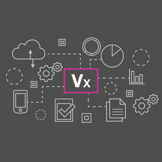 VxT icon and process