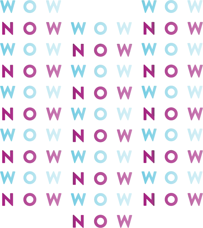 Image of Wow Now Logo
