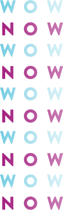 Image of Wow Now Logo