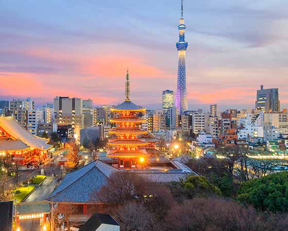 photo of tokyo skyline